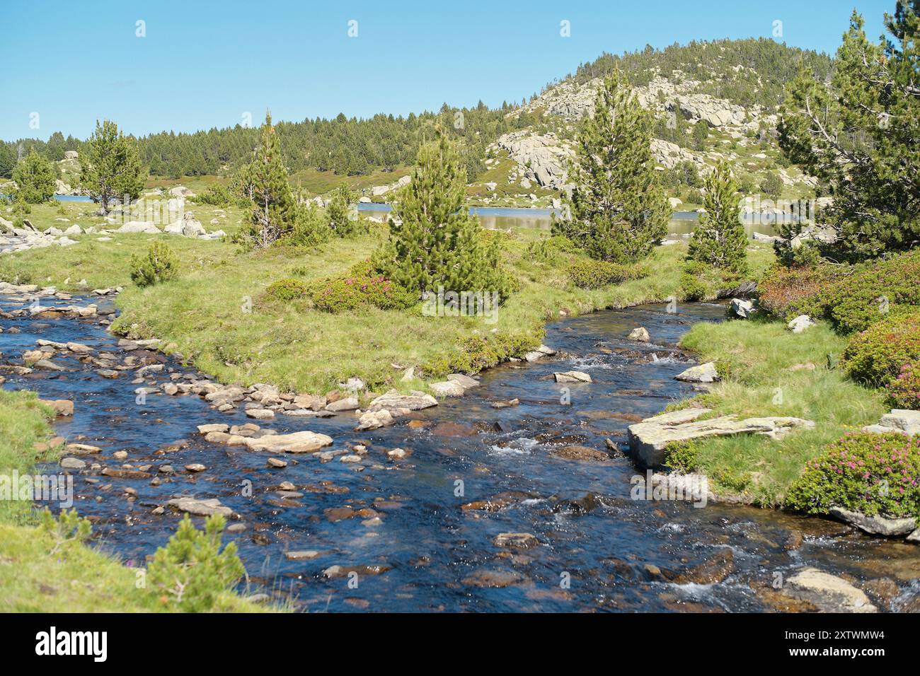 A serene mountain stream flows through a landscape dotted with greenery ...