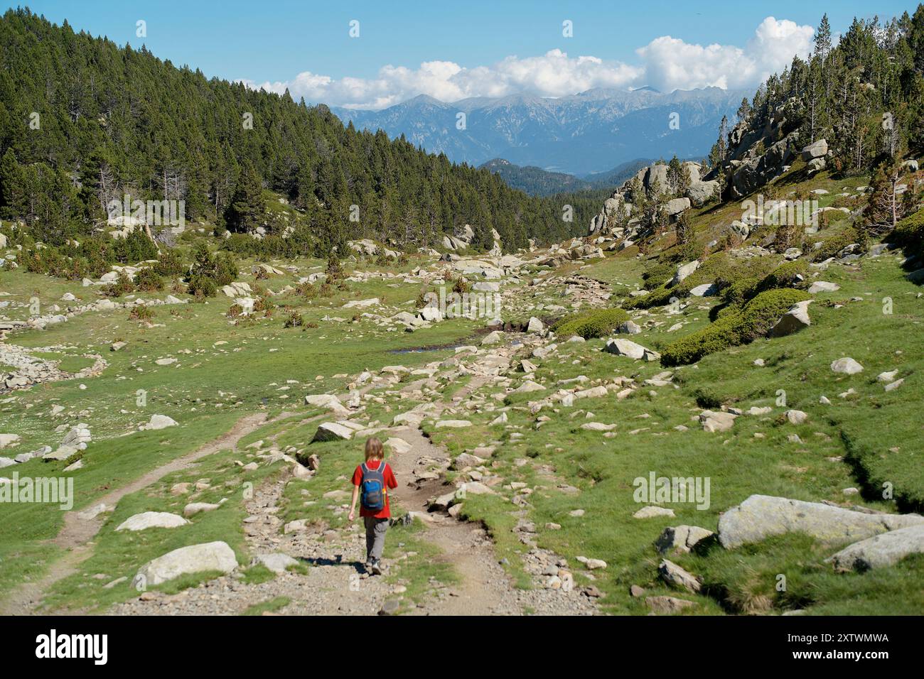 A hiker with a red backpack walking along a mountain trail surrounded by lush greenery and distant snow-capped peaks. Stock Photo