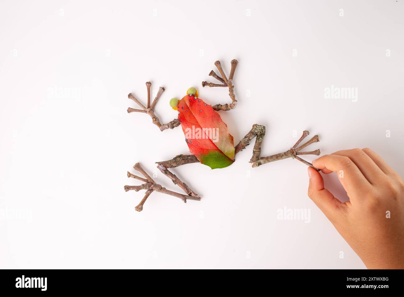Frog R Making Ripple Hand placing last piece of craft frog made from natural materials on ...