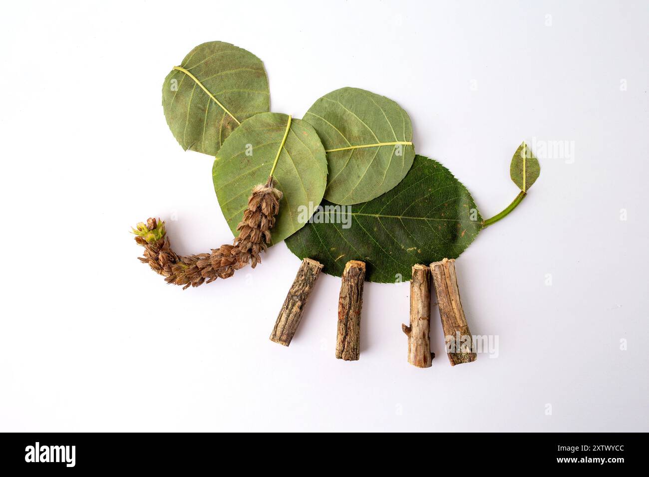 Provocation Using Seeds Creative craft project using natural elements: leaves, twigs, seed pod ...