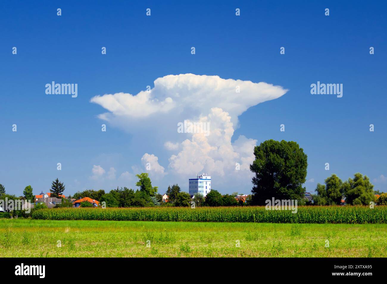 Cumulonimbus Capillatus