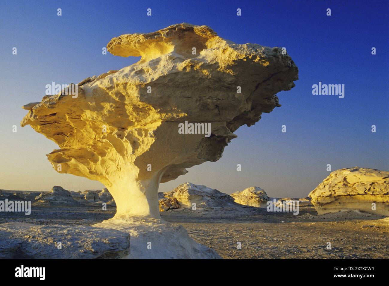 Rock formation in the White Desert, Egypt, White Desert, Egypt, Africa ...