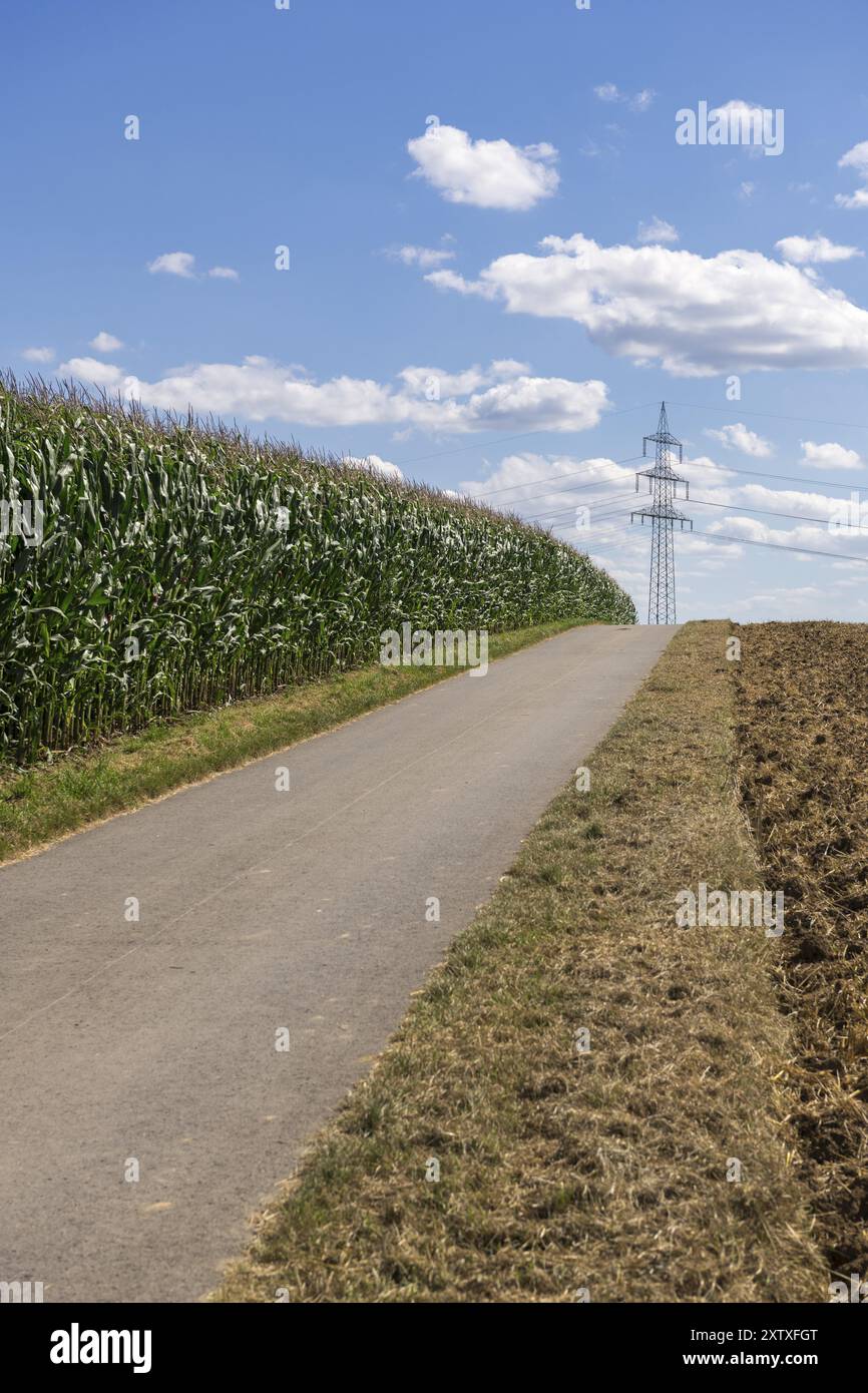Overhead line maize field hi-res stock photography and images - Alamy