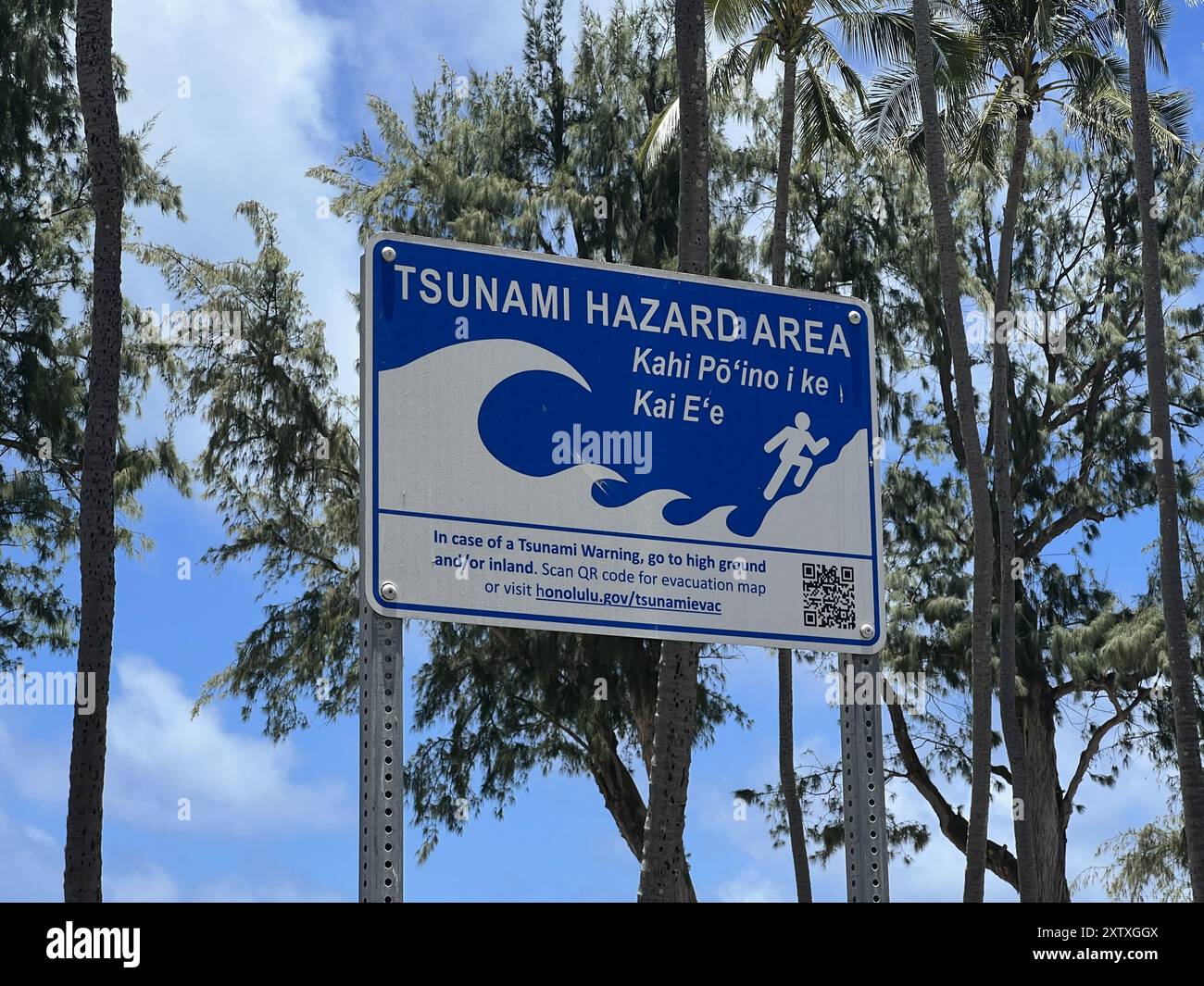 Tsunami hawaii county