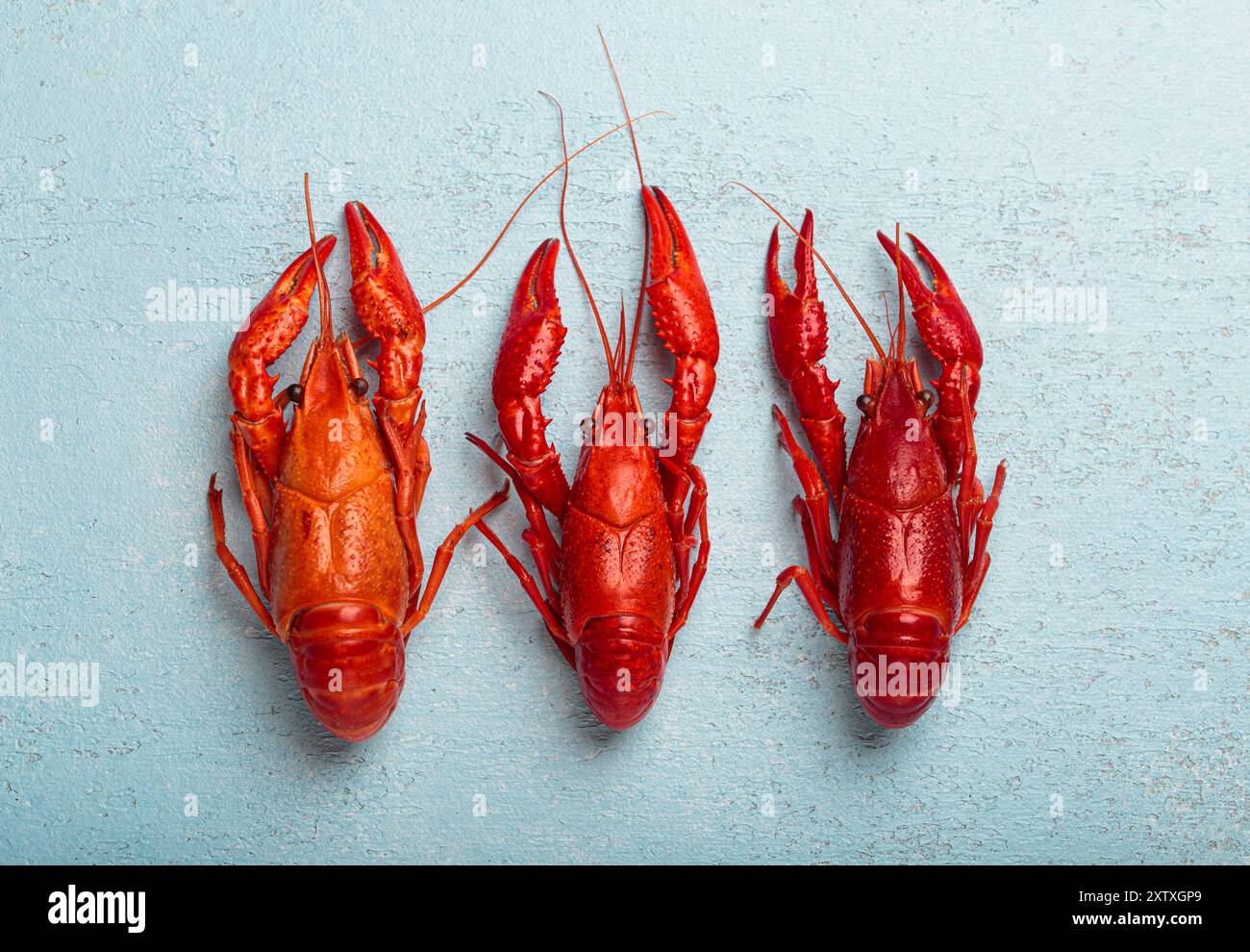 Three whole cooked crawfish lying on blue background top view Stock Photo