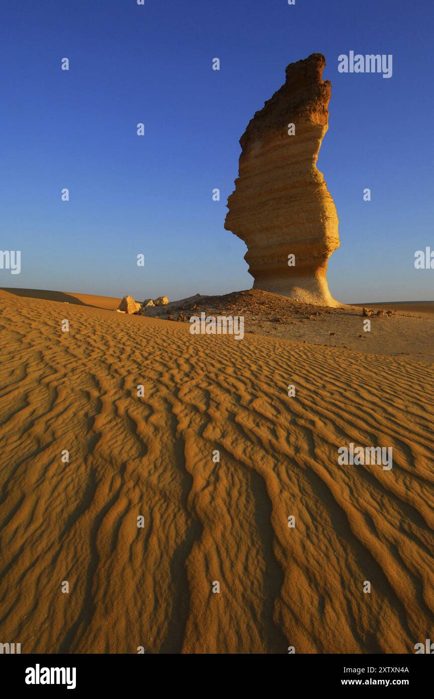 Shot striking unusual bizarre hi-res stock photography and images - Alamy