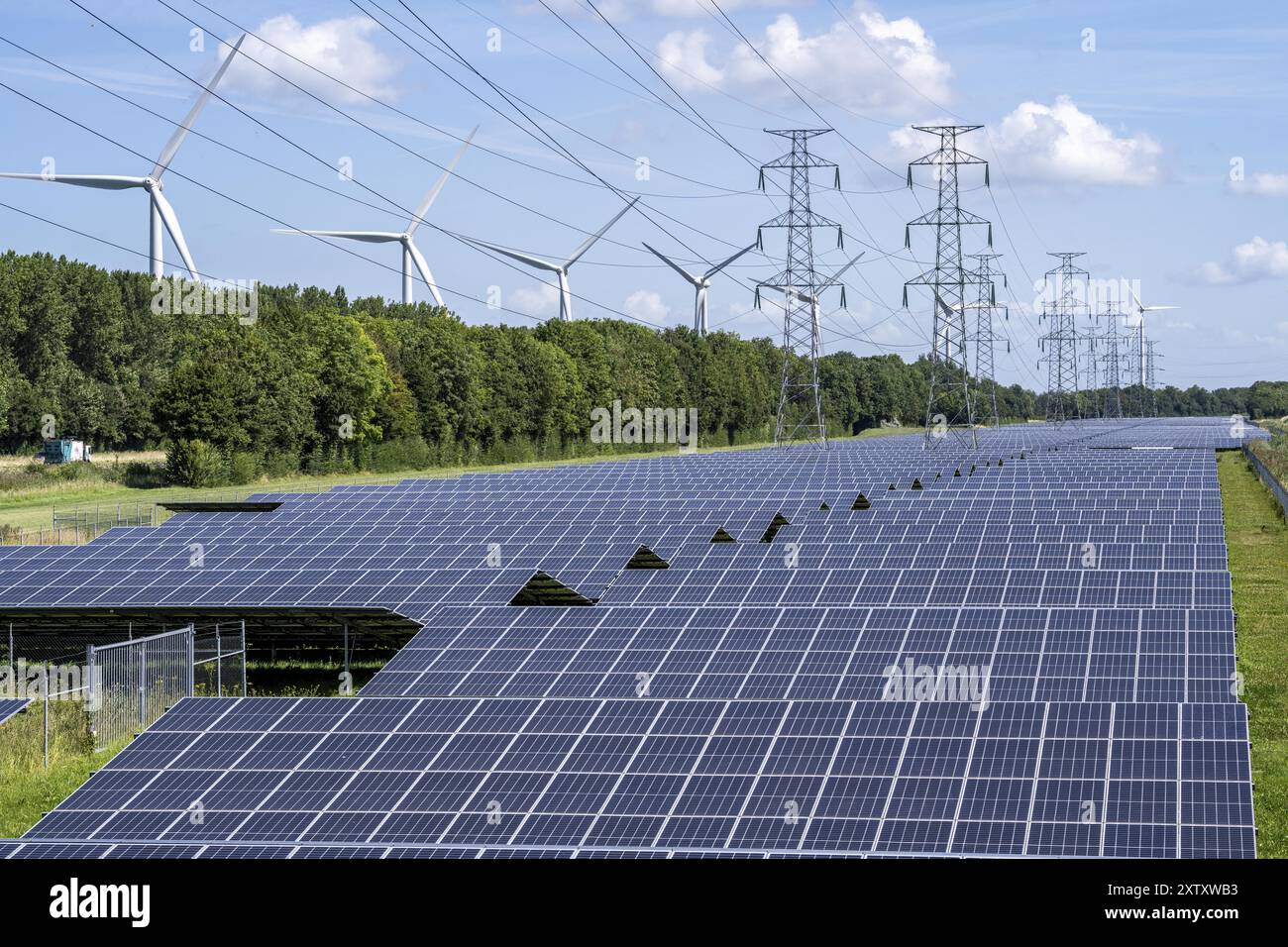High-voltage power line route, the space underneath is used for a solar park over 5 km long, behind it a wind farm, in the harbour area of Vlissingen- Stock Photo