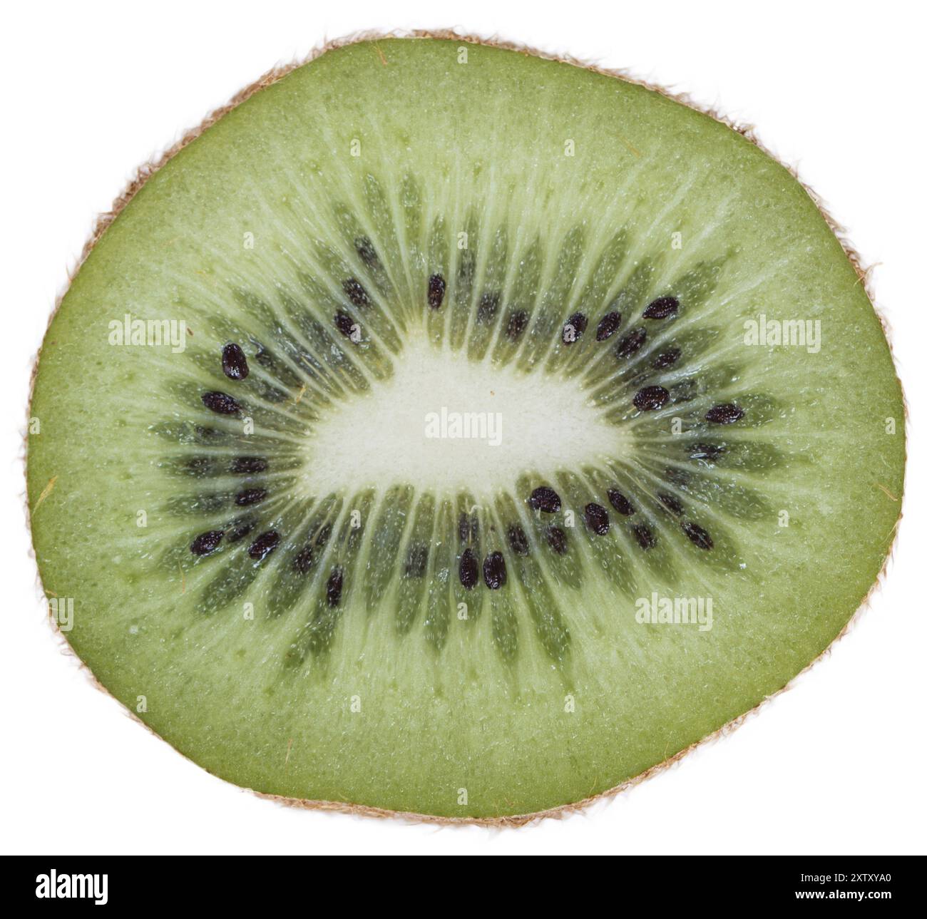 Ground kiwi hi-res stock photography and images - Alamy