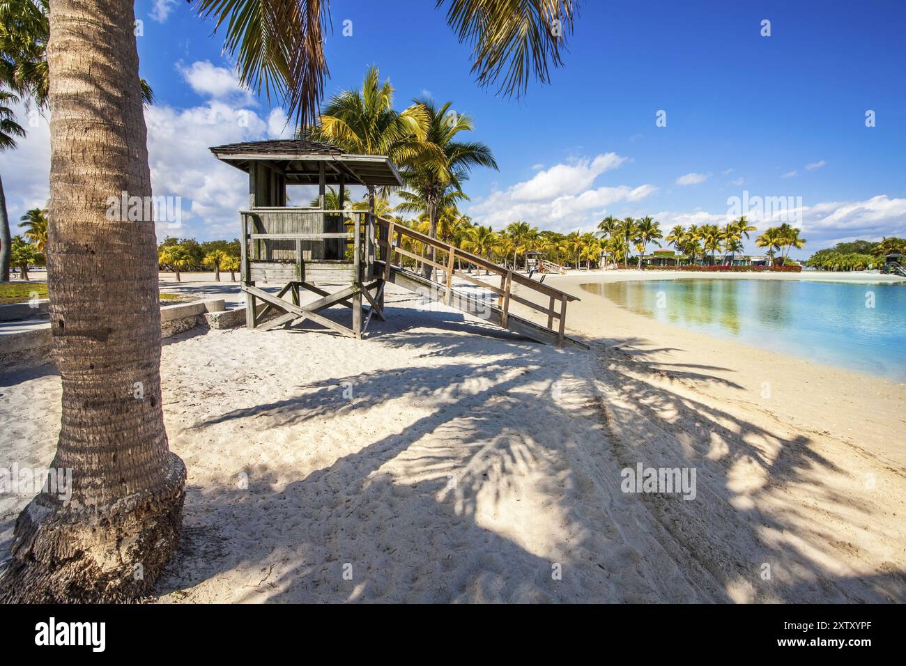 Matheson hammock park beach hotsell