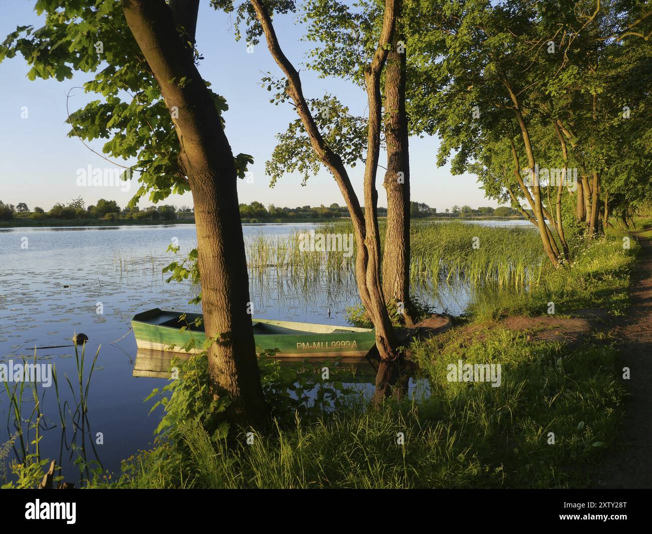 Green boat on the Nogat near Marienburg in Poland Stock Photo