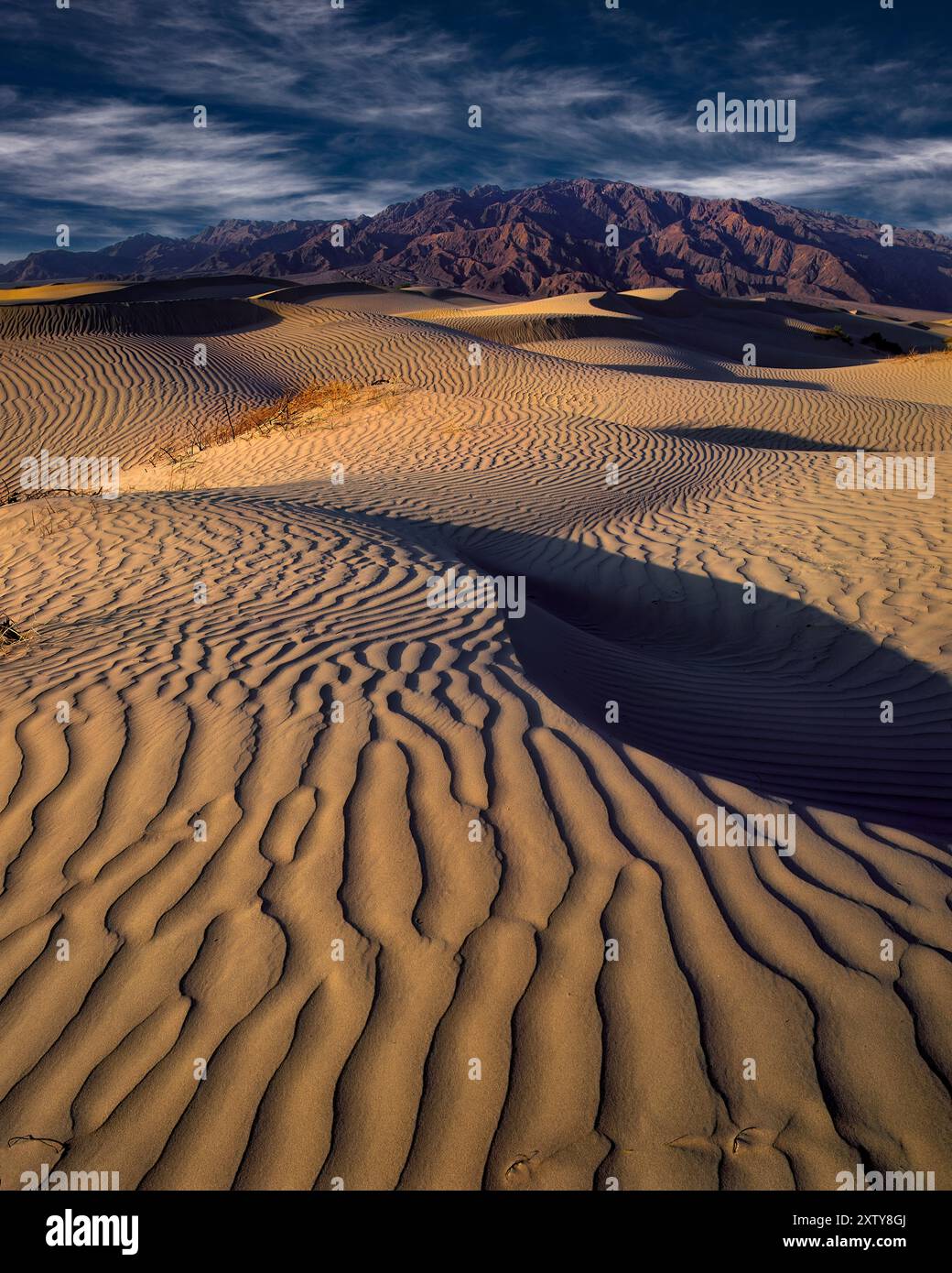 Death valley dunes hi-res stock photography and images - Alamy