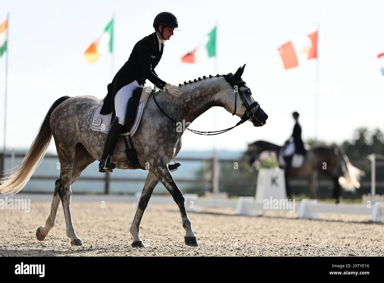 Pin's Cravate Strass Ratcatcher Cheval Chasse, Neuf Pour Concours