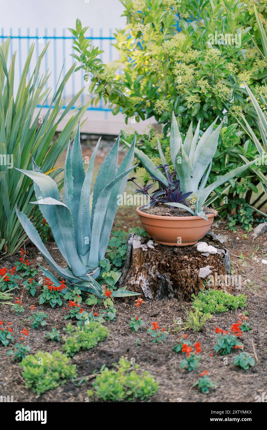 8 gallon plant pot AutoPot 8 Pot XL Watering System with 6.6 Gallon Pots