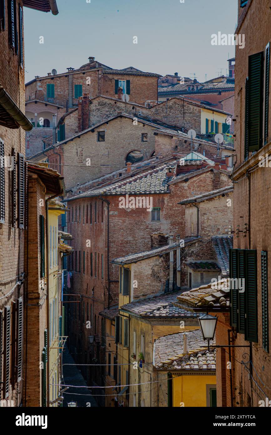 SIENA TOP