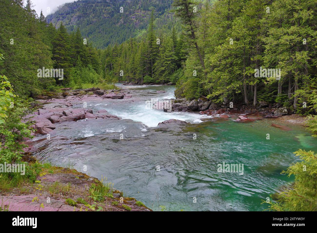 Vibrant Creek In Glacier National Park Hi res Stock Photography And vibrant-creek-in-glacier-national-park-hi-res-stock-photography-and