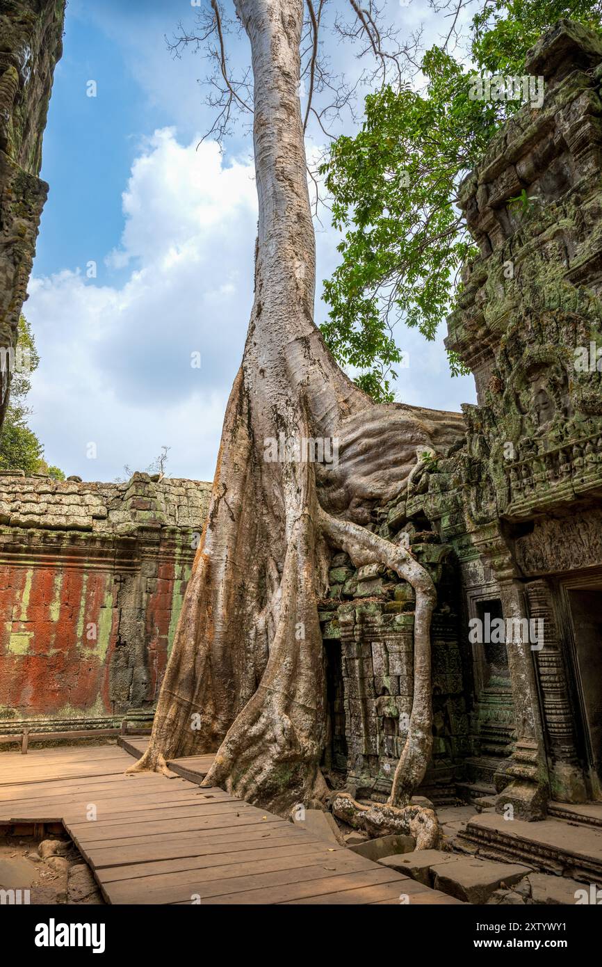 Temple One One of cambodias best temples hi-res stock photography and images - Alamy