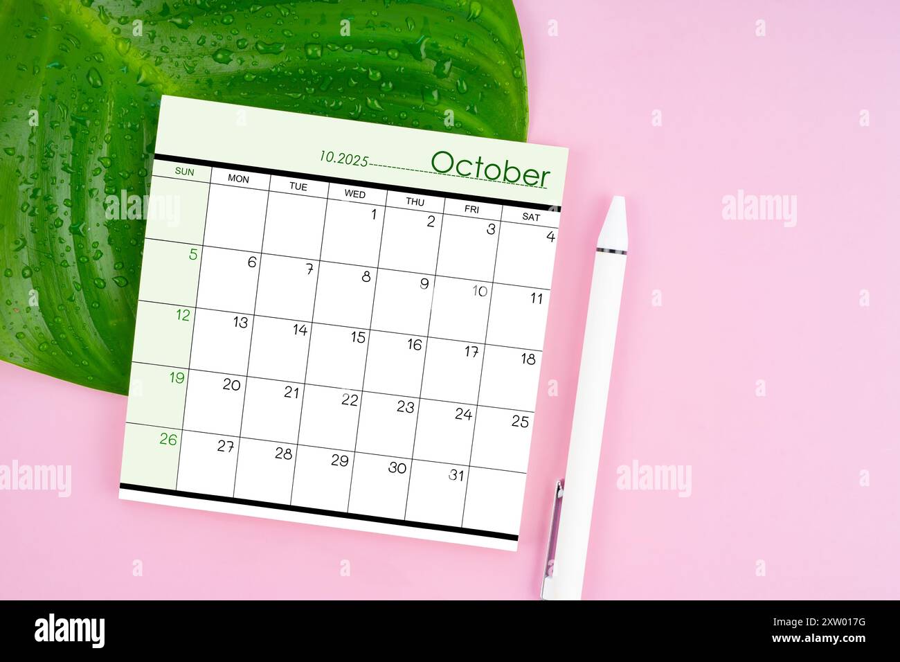 October 2025 calendar page and fresh green leaf with water drops on pink color background Stock Photo - Alamy october-2025-calendar-page-and-fresh-green-leaf-with-water-drops-on-pink-color-background-stock-photo-alamy
