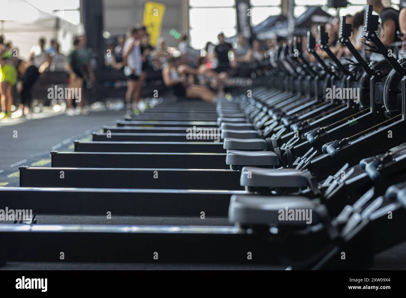 Group of Modern Black Rowing Machine at Gym: Fitness Equipment Stock ...