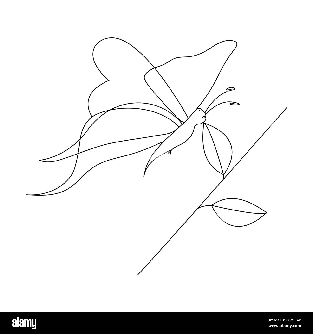 Continuous one line butterfly flying single line outline art drawing