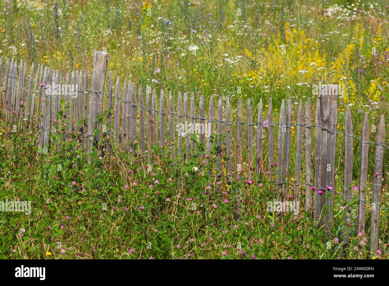 Old wooden garden fence hi-res stock photography and images - Alamy