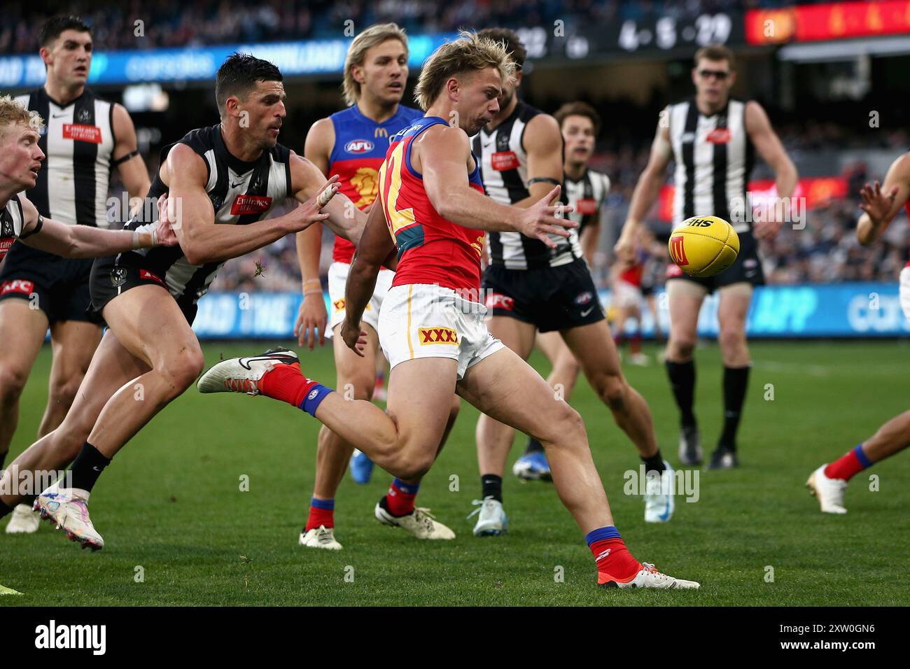 Harry Sharp Boxer Melbourne, Australia. 17th Aug, 2024. Harry Sharp of the Lions kicks ...