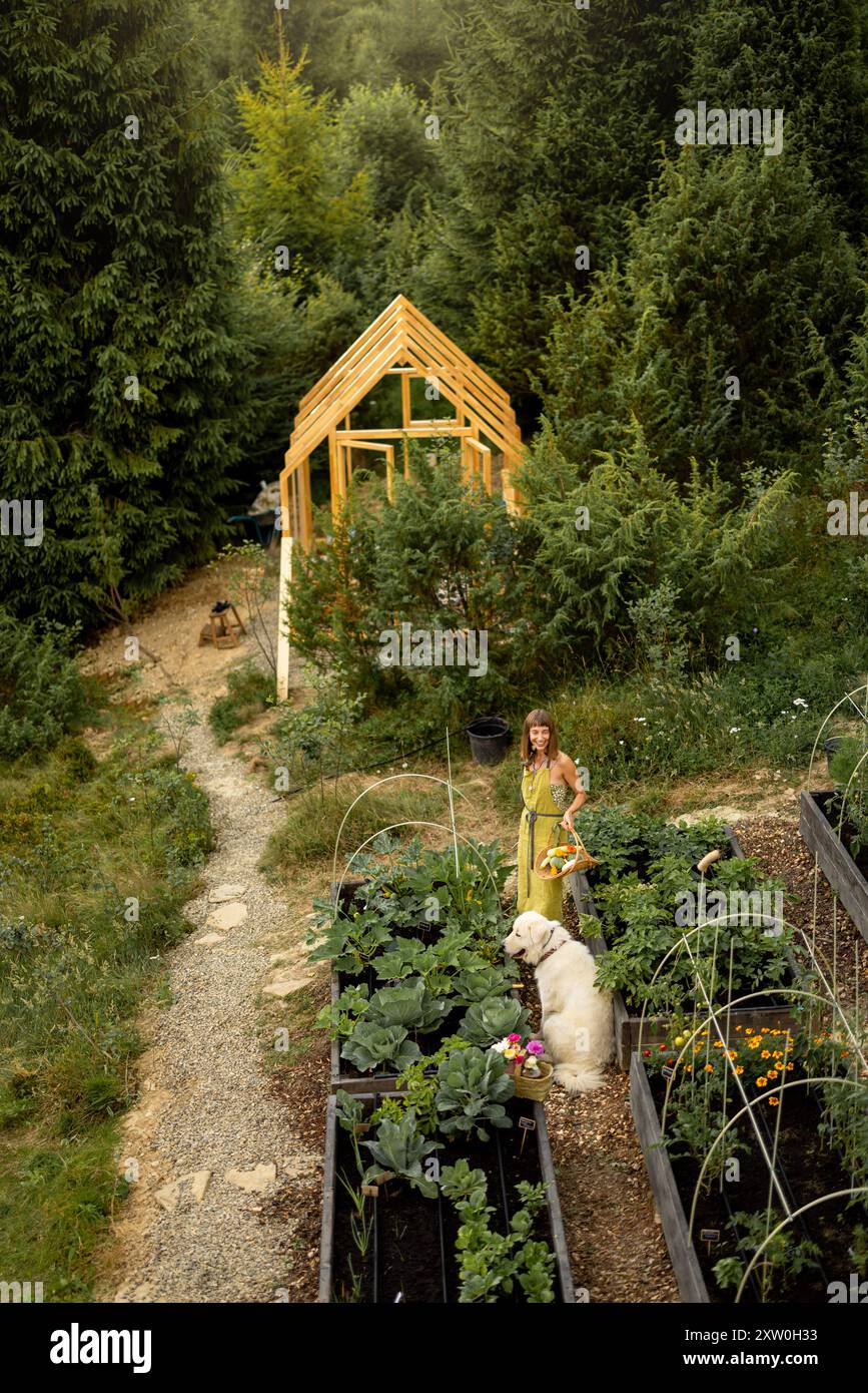Image showcasing Living in the mountains: 10 eco-friendly hospitality that will ... - Ecobnb
