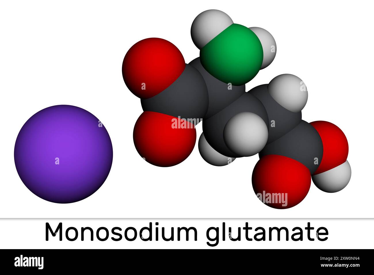 Monosodium glutamate, MSG, sodium glutamate molecule. It is flavor enhancer E621. Molecular