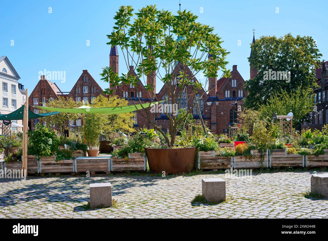 Der Übergangsgarten in Lübeck. Ein temporärer Garten auf dem Koberg