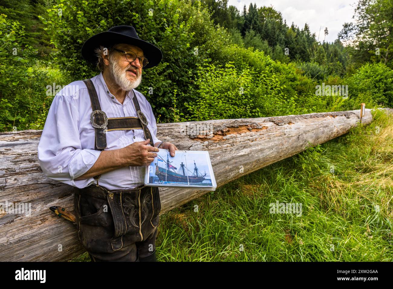 Raftsman Martin Spreng stands beside a felled Dutch fir ("Holländertanne") and shows a photograph of a historic sailing ship. Black Forest raftsmen felled particularly long, straight firs for Dutch shipbuilding – knot-free over long stretches and 30 to 40 metres long. Altensteig, Baden-Württemberg, Germany. Rafting shipped such timber here on the Nagold river until 1911. It has been recognised as UNESCO intangible cultural heritage since 2022. Stock Photo