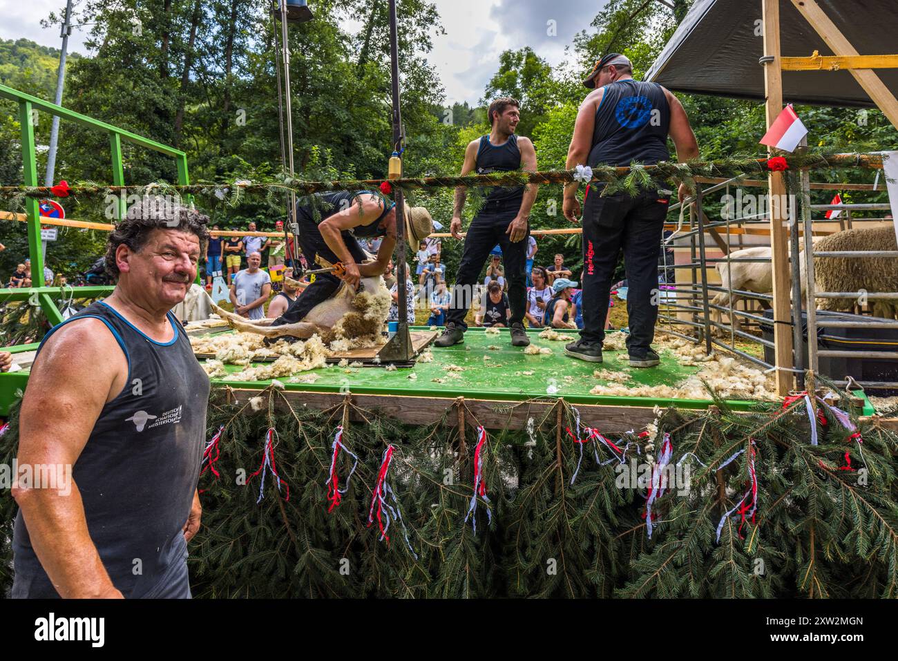 The German Shearers' Association demonstrates its craft during the procession at the Shepherd's Run 2024 in Wildberg, Baden-Württemberg, Germany Stock Photo