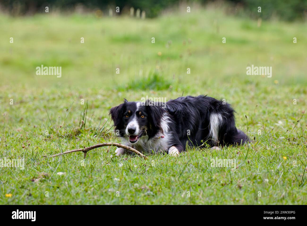 My \, image size:1300x956