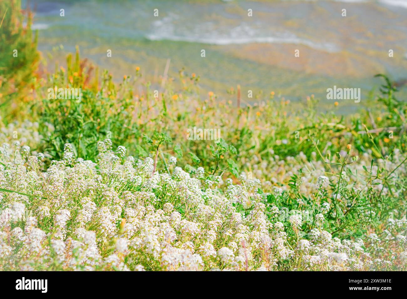 Beautiful scenery white hills hi-res stock photography and images - Alamy