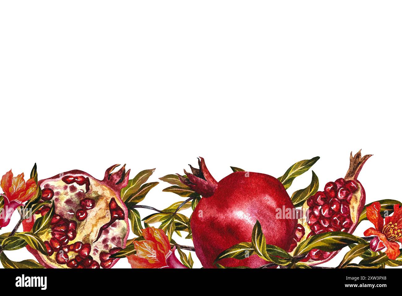 Pomegranate. A frame of fruits, flowers and pomegranate leaves on ...