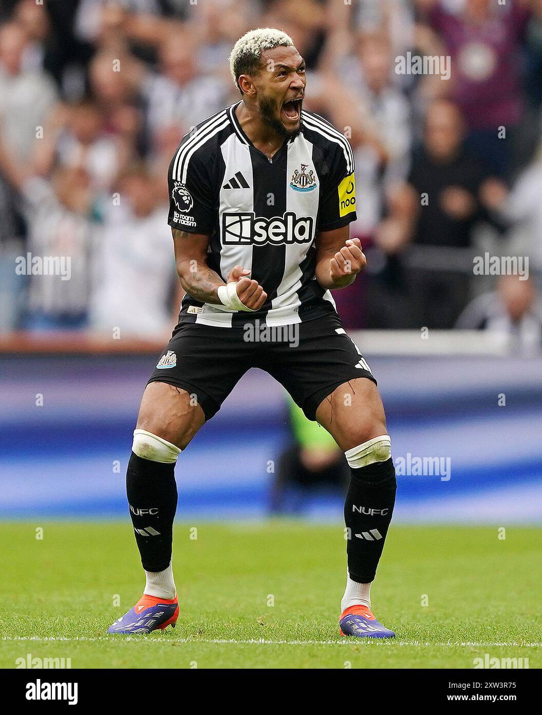 Joelinton newcastle united 2024 hi-res stock photography and
