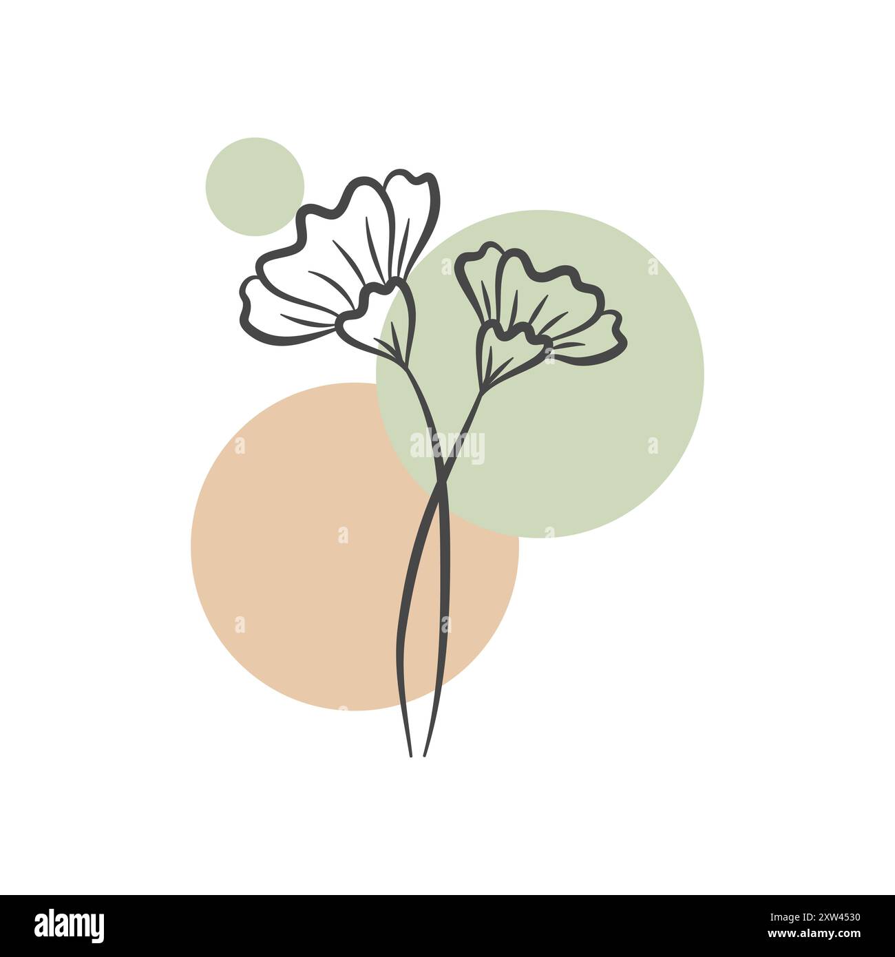 Minimalist Flowers vector design Stock Vector Image & Art - Alamy