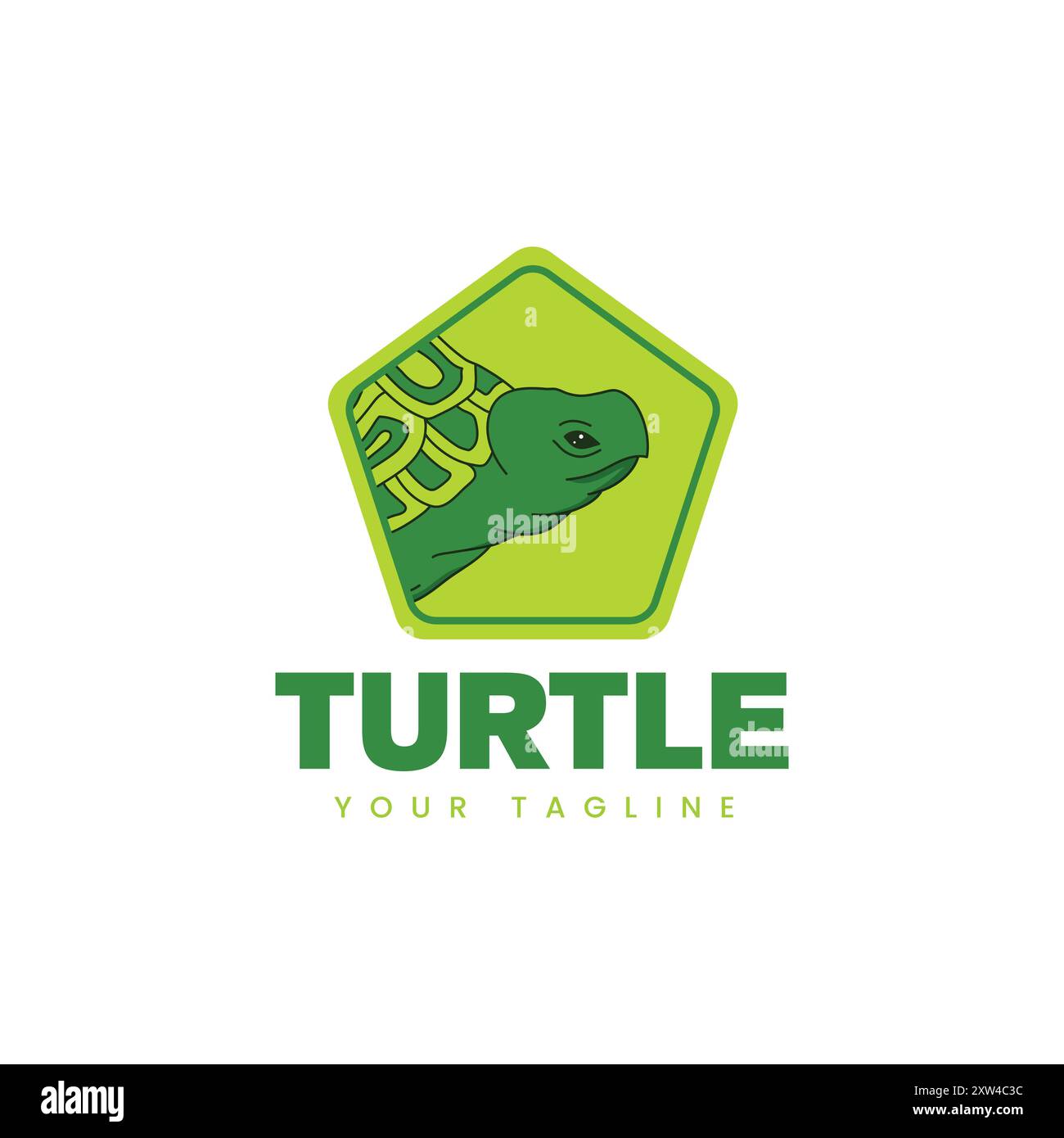 Modern Turtle Logo design Stock Vector Image & Art - Alamy
