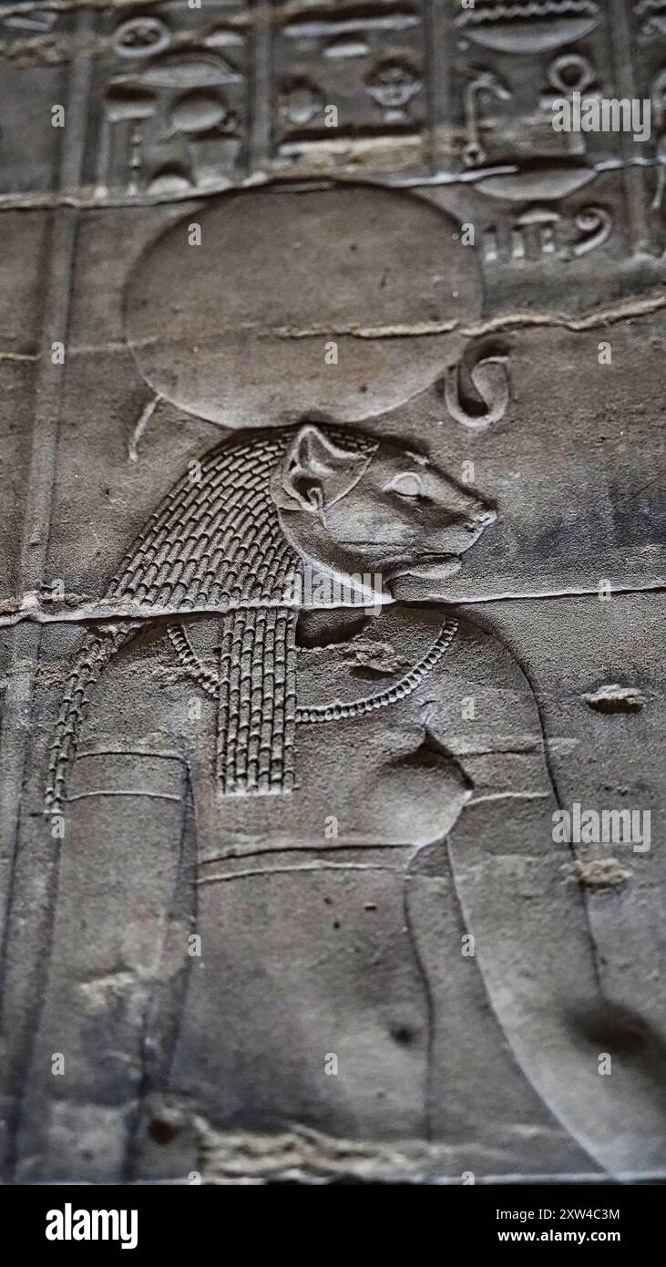 Sekhmet,the Lion Goddess Close up wall relief in soft bokeh focus in the Temple of Isis at Philae Island on Lake Nasser,built by Nectanebo and Ptolemy Pharoahs near Aswan,Egypt Stock Photo