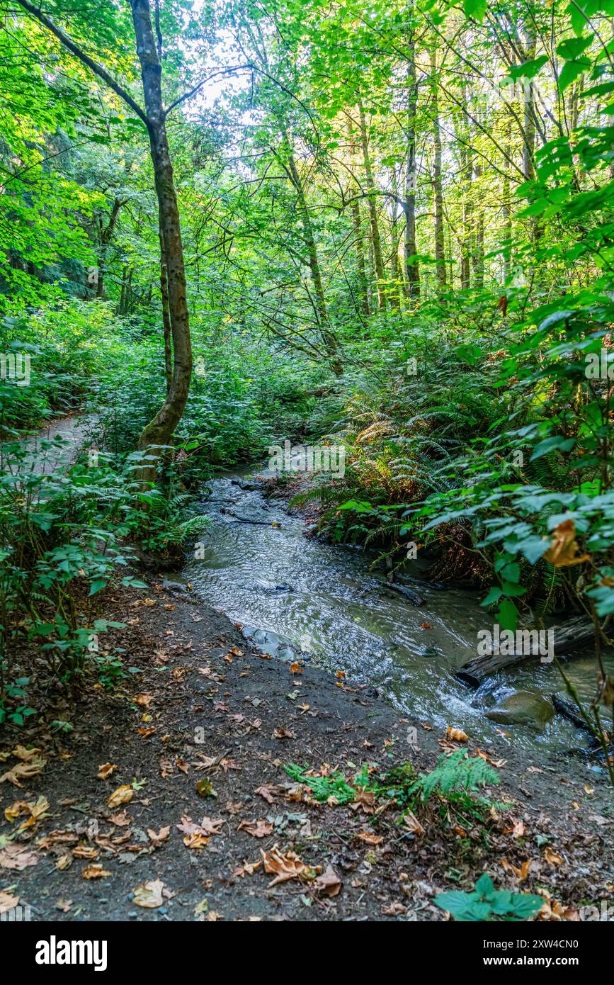 Close up shot stream flowing hi-res stock photography and images - Alamy