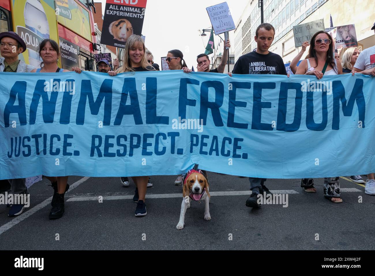 National animal rights 2024 hi-res stock photography and images - Alamy