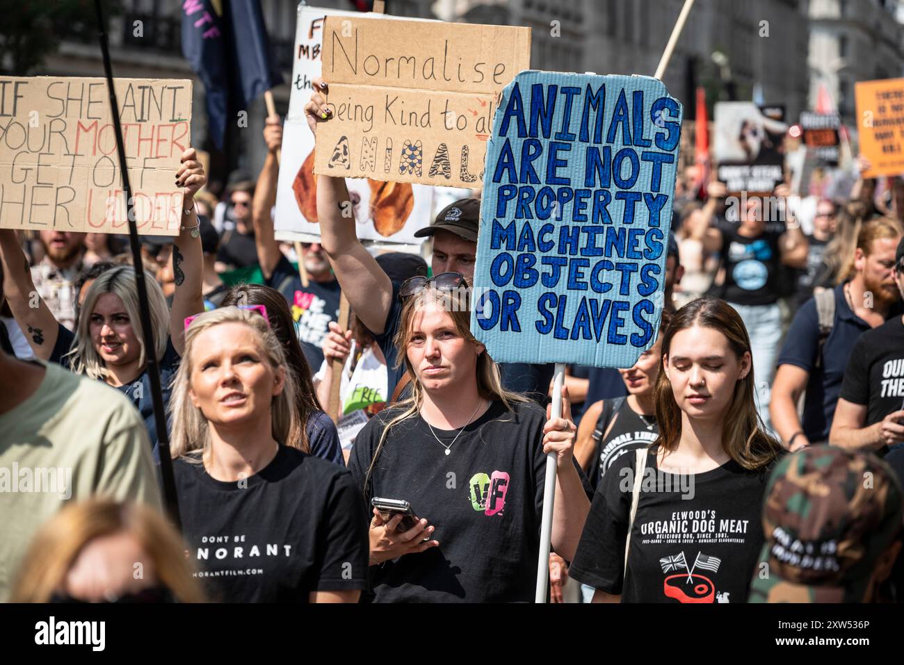 National Animal Rights March, London, England, UK, 17 August 2024 Stock ...