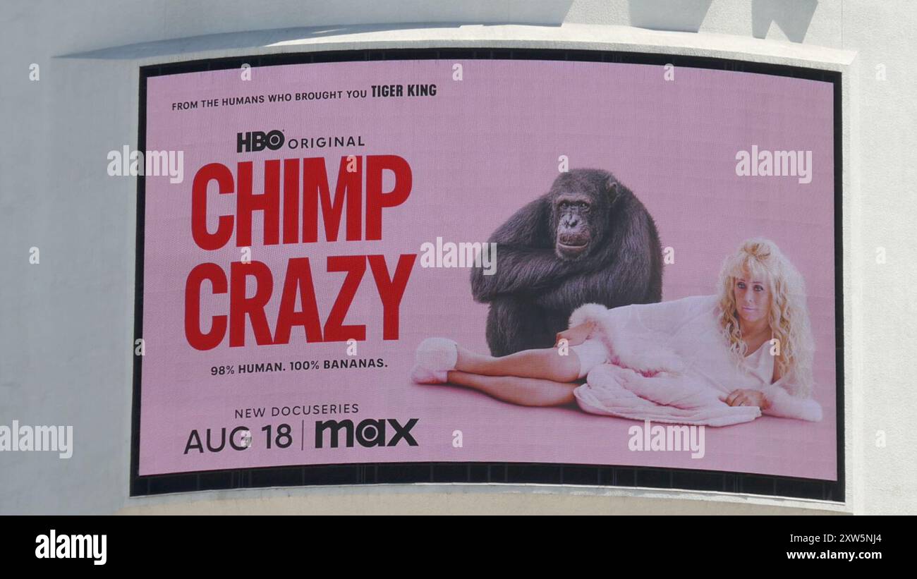 Los Angeles, California, USA 13th August 2024 Chimp Crazy Billboard at ...