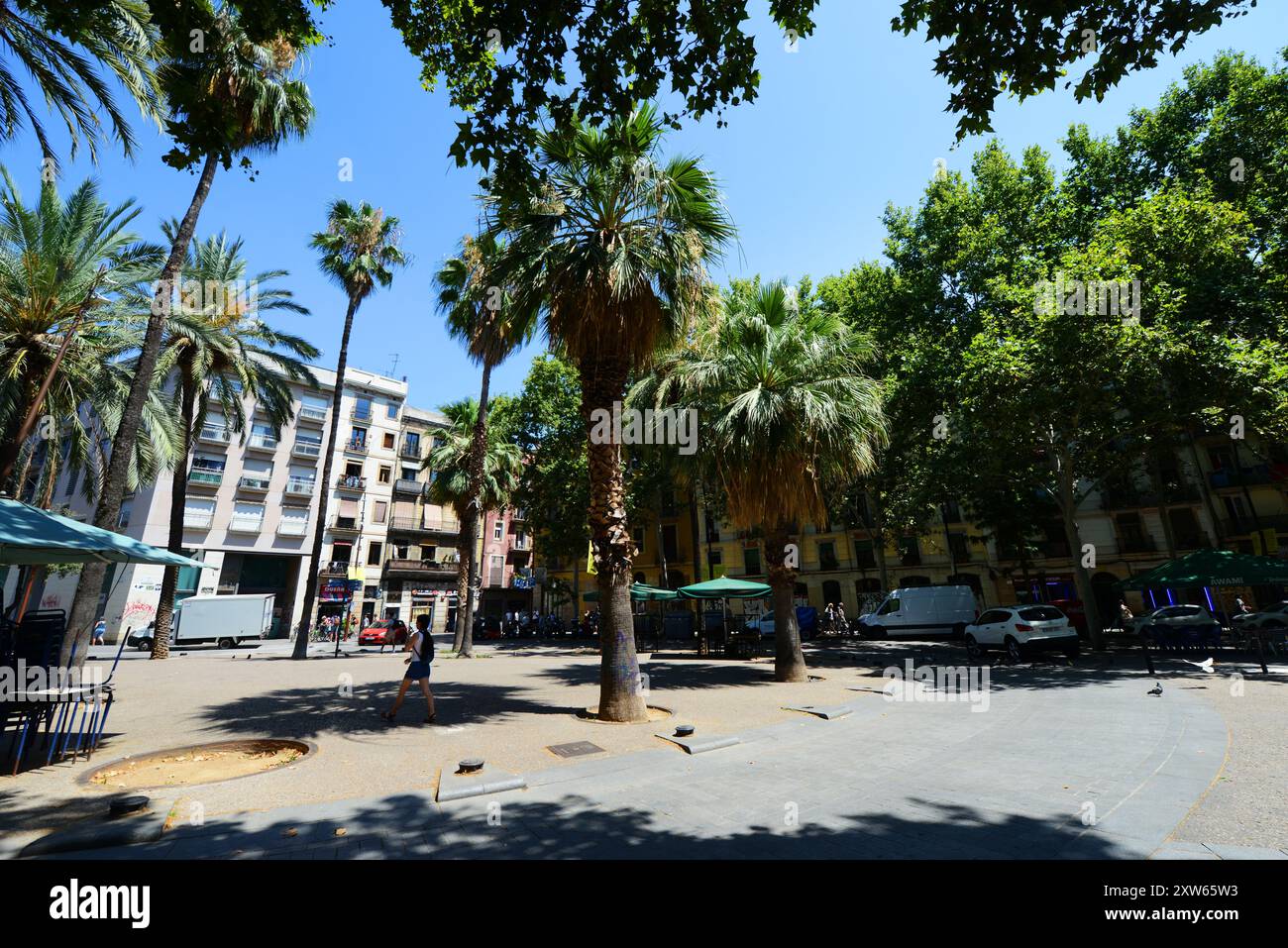 El Raval park in Barcelona, Spain Stock Photo - Alamy
