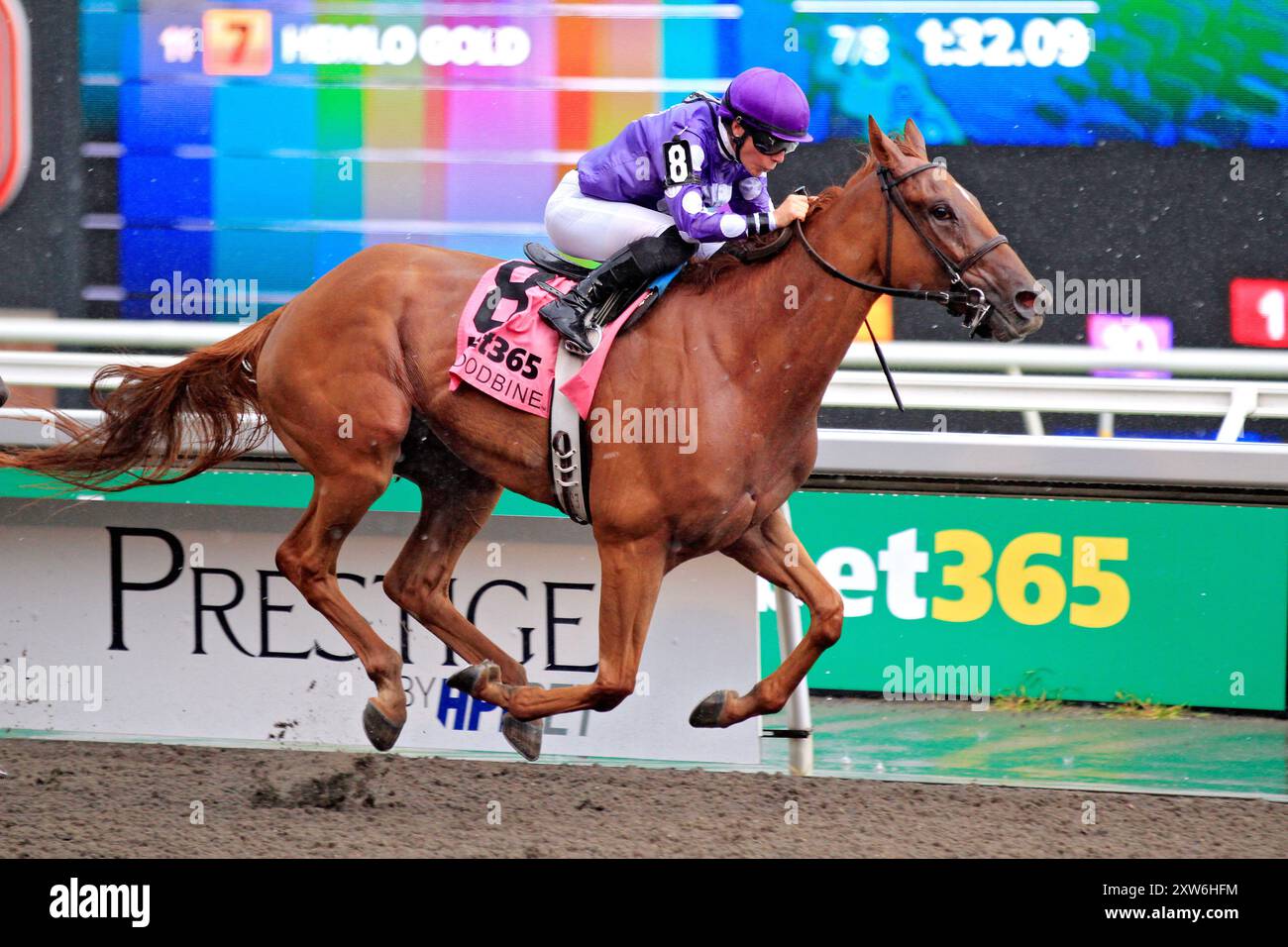 Jims hope hi-res stock photography and images - Alamy