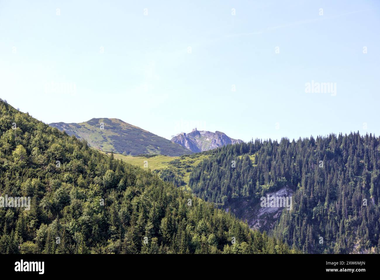 Tree trees hill mountains hi-res stock photography and images - Alamy
