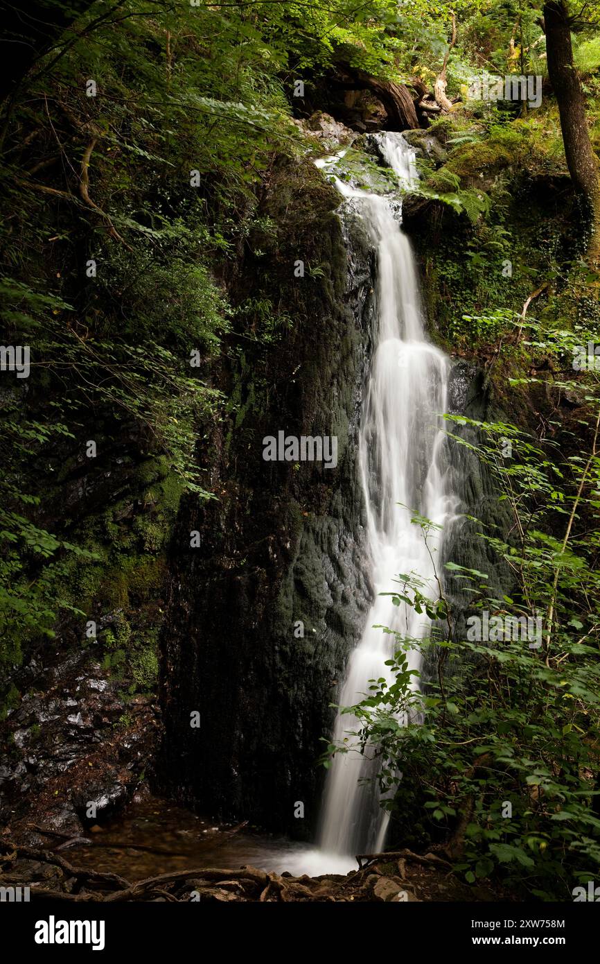 Tom Gill Falls, near Tarn Hows, Cumbria Stock Photo