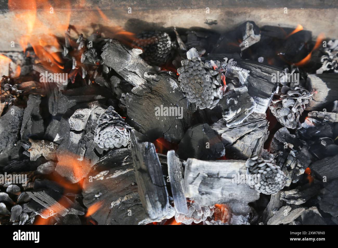a fire made of coal and wood in the form of embers. campfire Stock ...