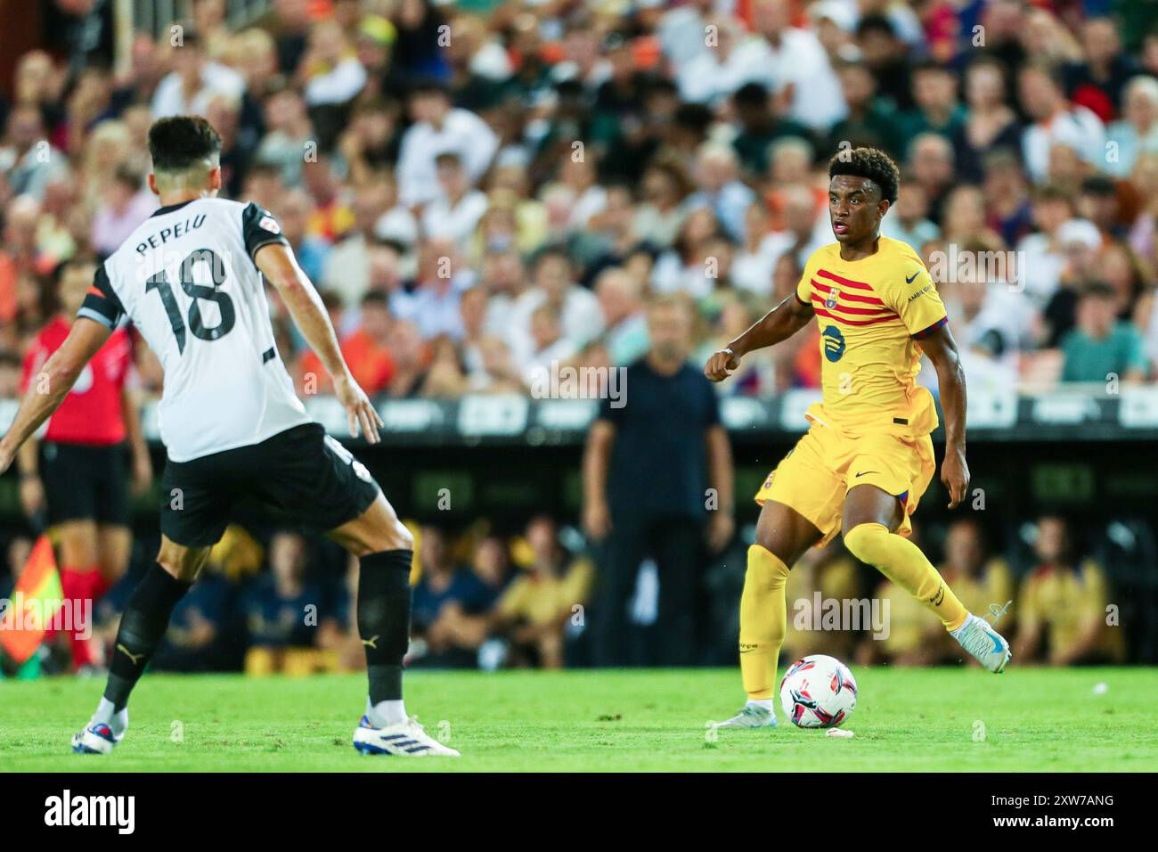 Balde hi-res stock photography and images - Page 15 - Alamy, image size:1300x956