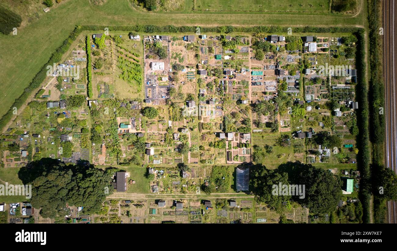 Aerial drone birdseye view of allotments gardens in Norfolk, UK on a summers day. Plenty of green open space and fresh vegetables Stock Photo