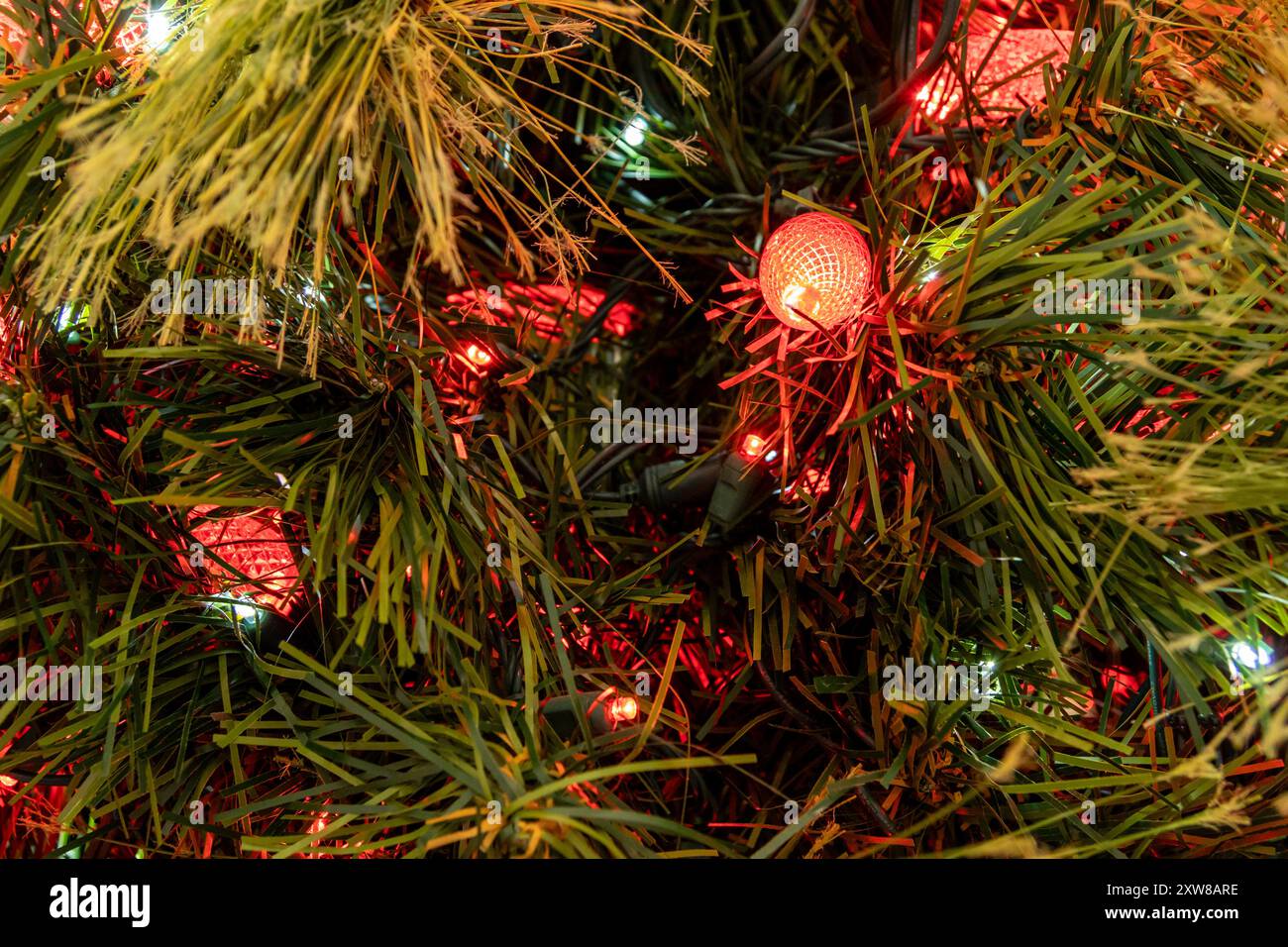 Vibrant red Christmas lights nestled among lush green artificial pine needles - creating a warm, festive ambiance. Taken in Toronto, Canada. - Stock Image