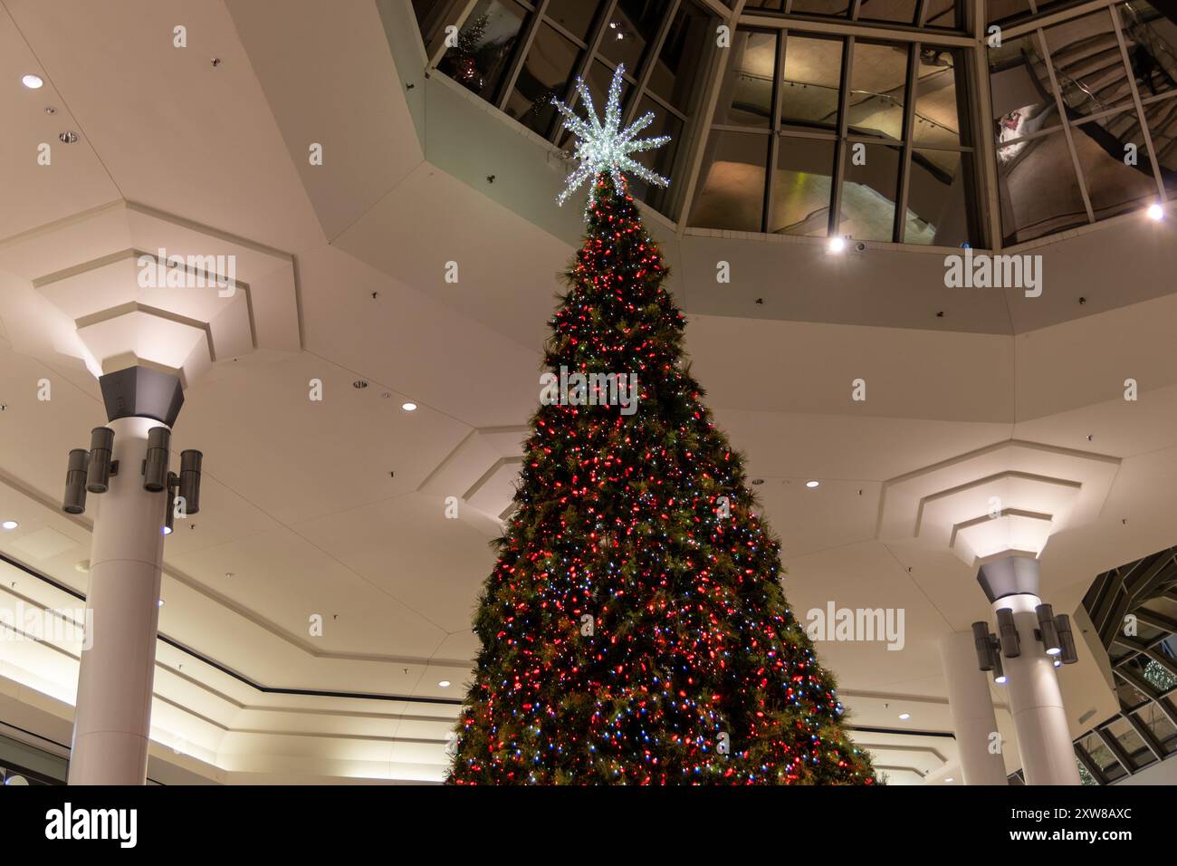 Indoor Christmas tree towering with bright red ornaments and a glowing star topper. Taken in Toronto, Canada. - Stock Image